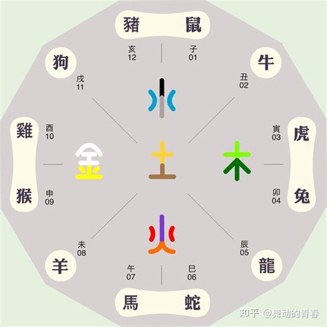 生肖五行顏色|五行顏色生肖：12生肖五行本命色和相生色，讓你的運。